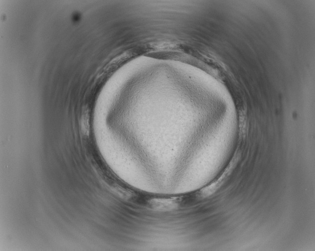 X0000066970170200604211915