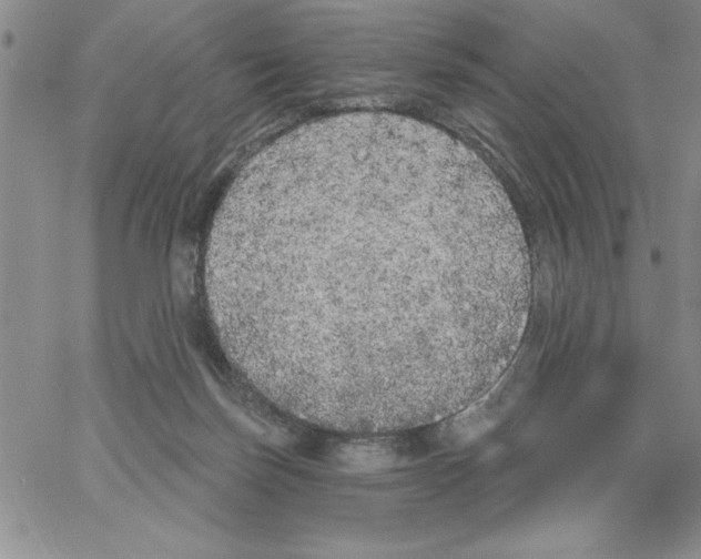 X0000066970171200604211915