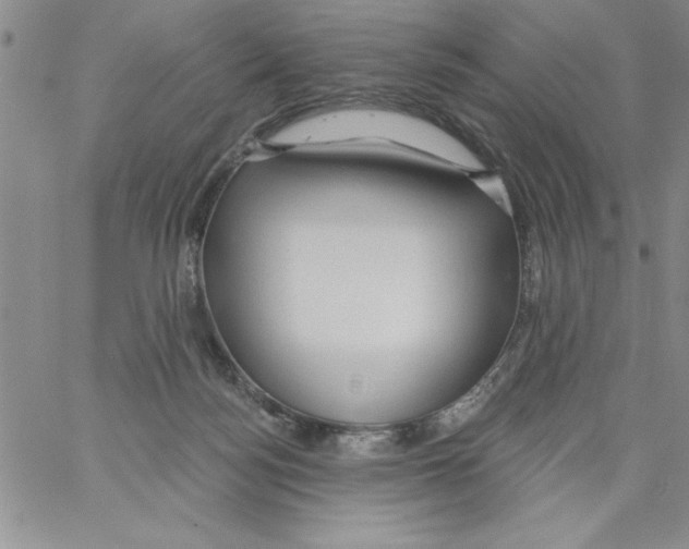 X0000066970172200604211915