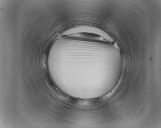 X0000066970174200604211915