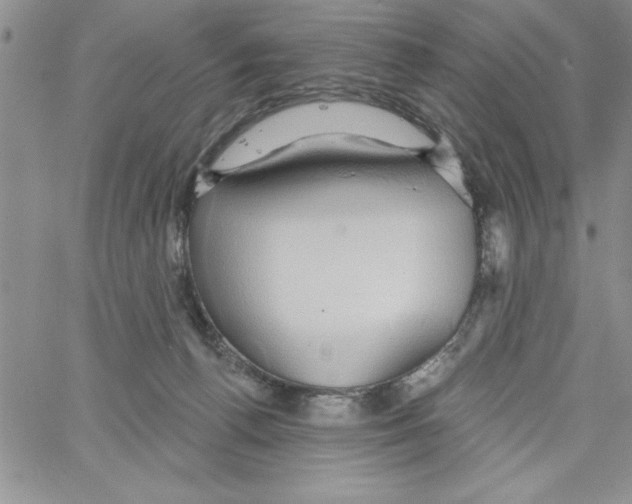 X0000066970176200604211915