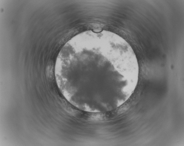 X0000066970177200604211915