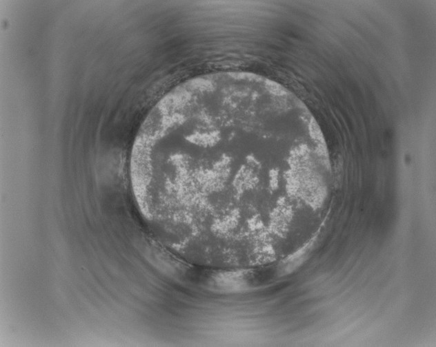 X0000066970178200604211915