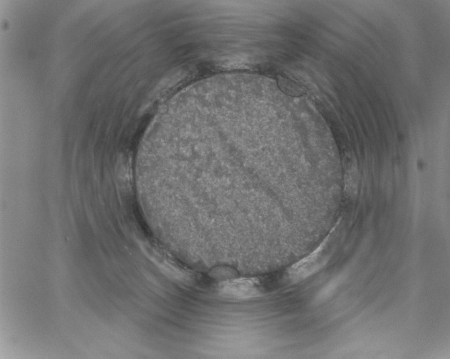 X0000066970179200604211915