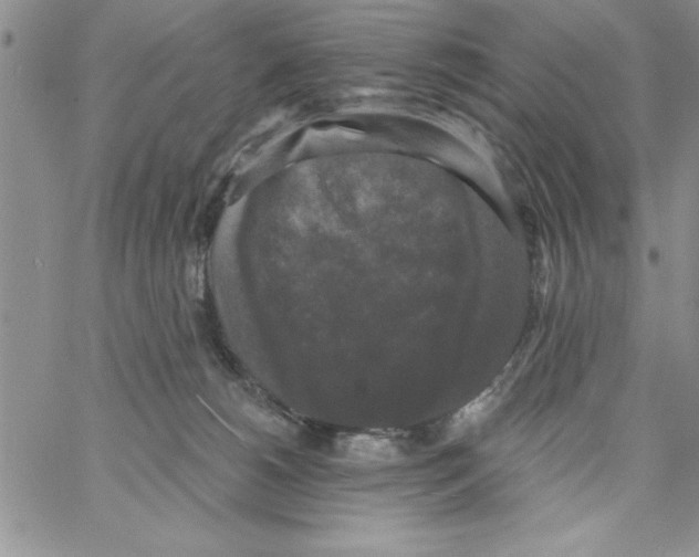 X0000066970180200604211916