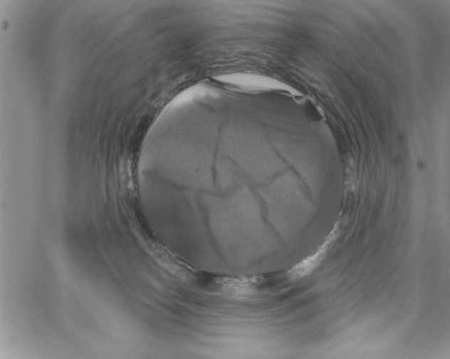 X0000066970182200604211916