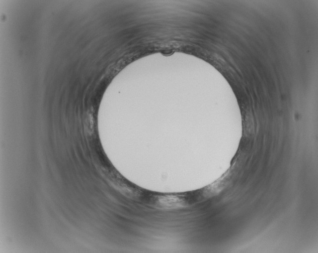 X0000066970183200604211916