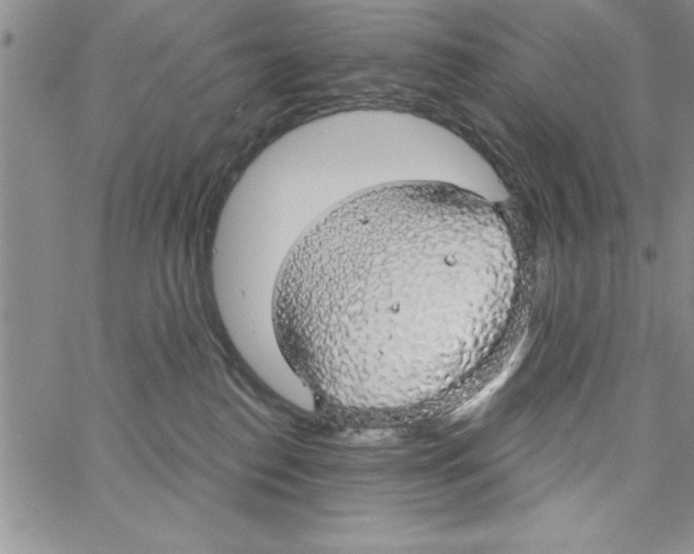 X0000066970186200604211916