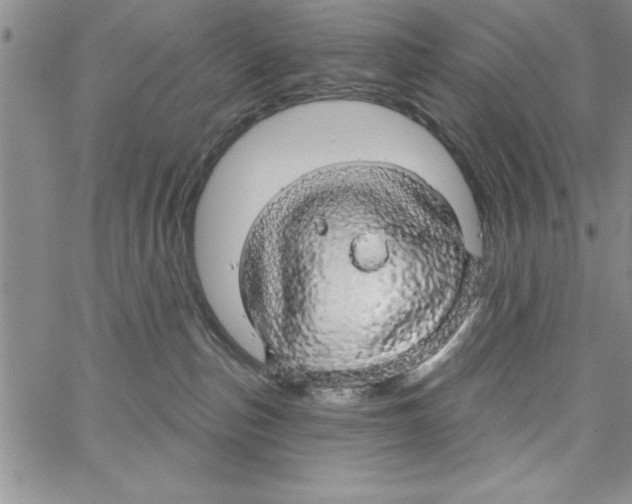 X0000066970187200604211916