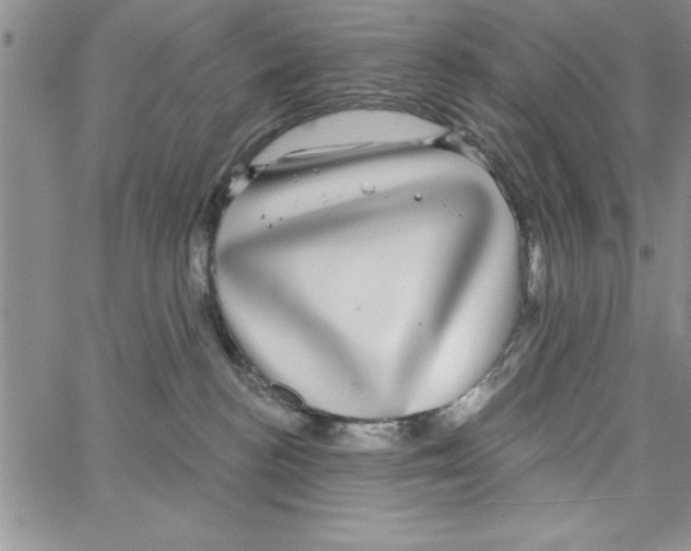 X0000066970188200604211916