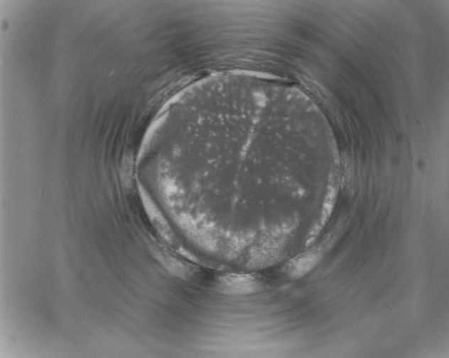 X0000066970189200604211916