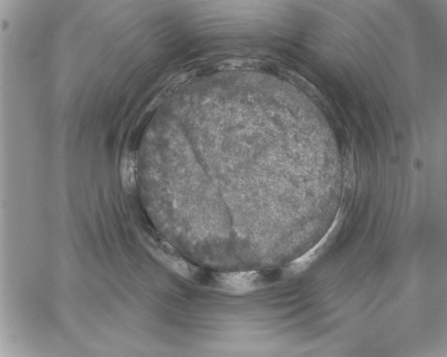 X0000066970191200604211916