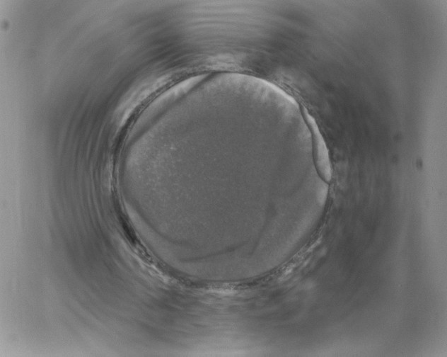 X0000066970194200604211915