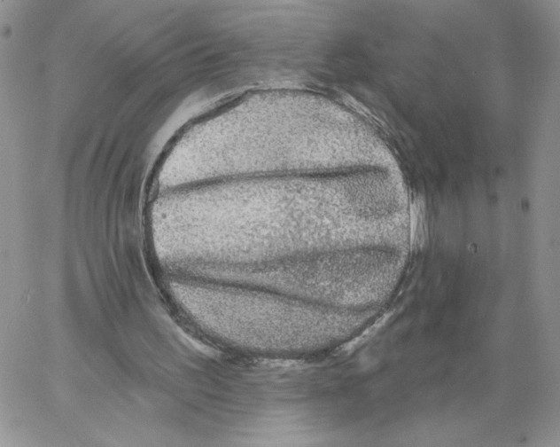 X0000066970195200604211915