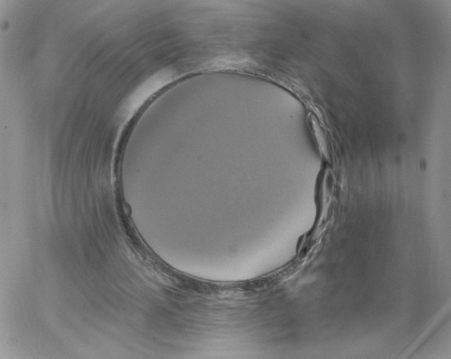 X0000066970196200604211915