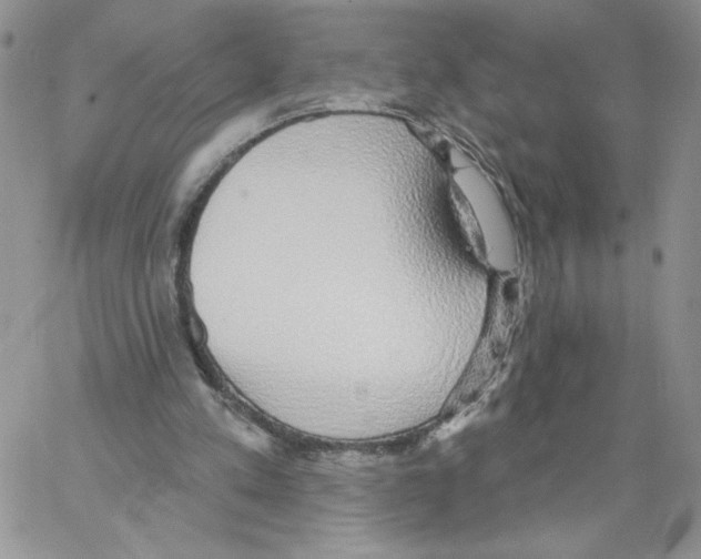 X0000066970197200604211915