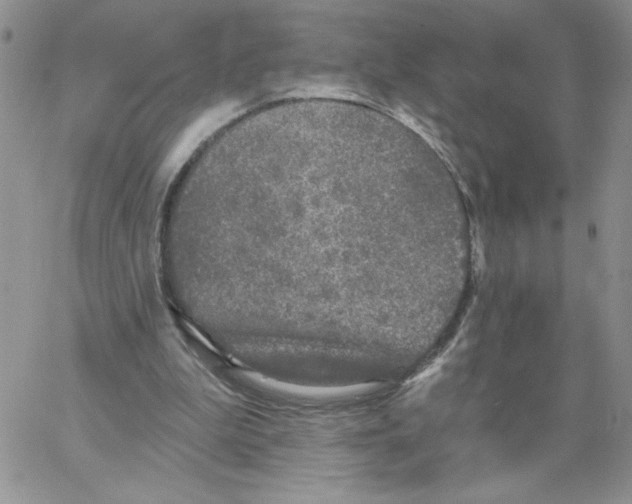 X0000066970199200604211915