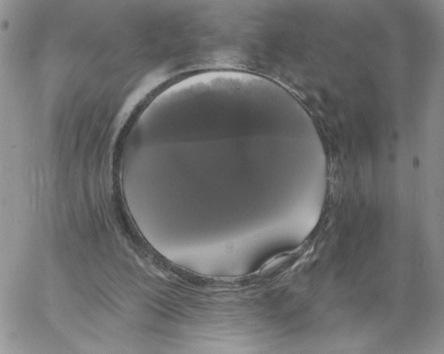 X0000066970200200604211915