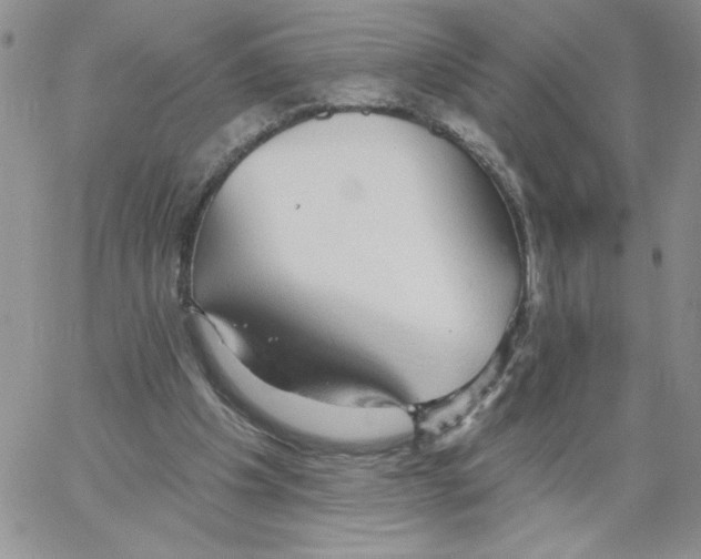 X0000066970201200604211915