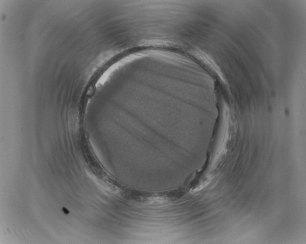 X0000066970204200604211915