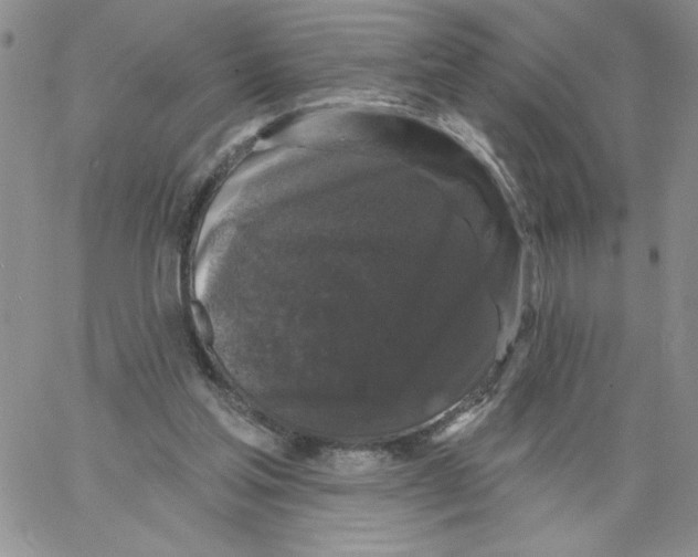 X0000066970205200604211915