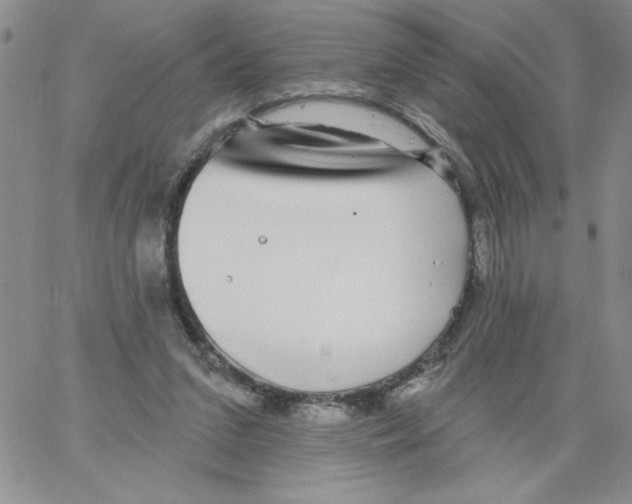 X0000066970207200604211915