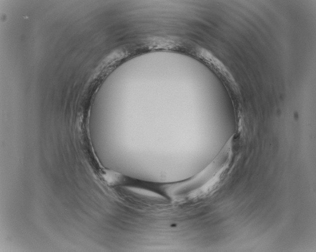 X0000066970209200604211915