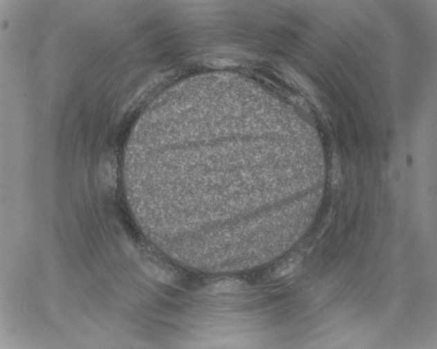 X0000066970210200604211915