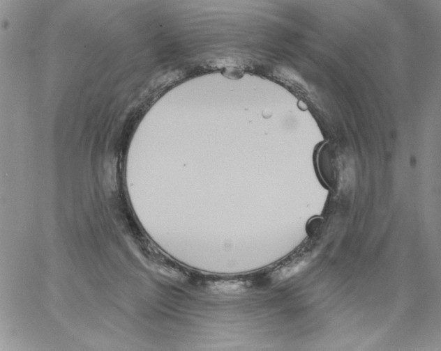 X0000066970213200604211915