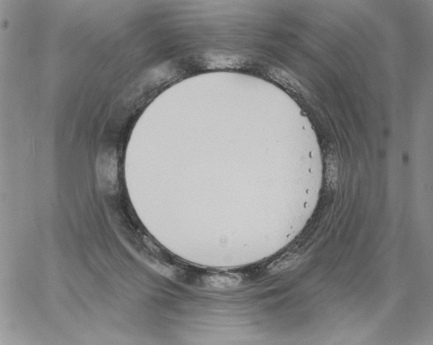 X0000066970215200604211915