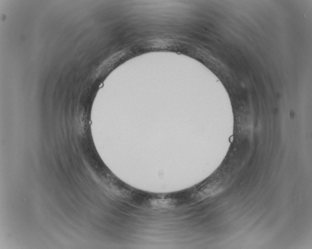 X0000066970216200604211915