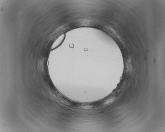 X0000066970217200604211915