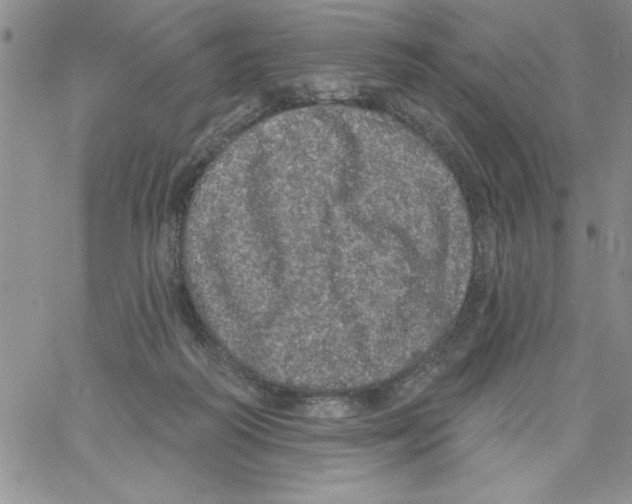 X0000066970218200604211914