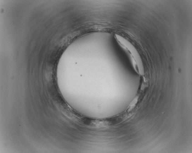 X0000066970221200604211914