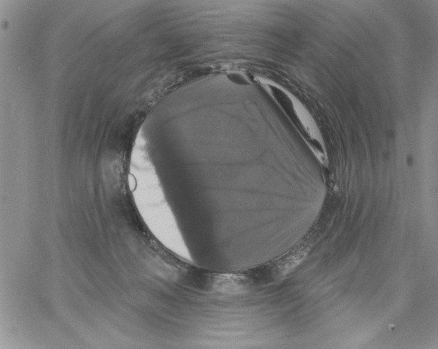 X0000066970222200604211914