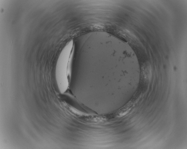 X0000066970223200604211914