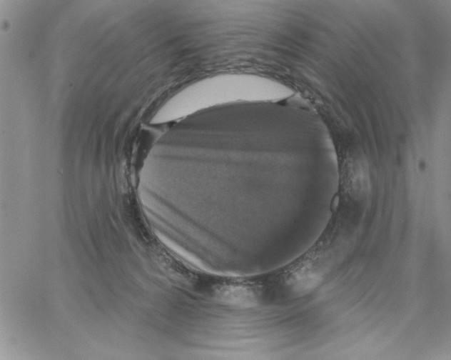 X0000066970224200604211914