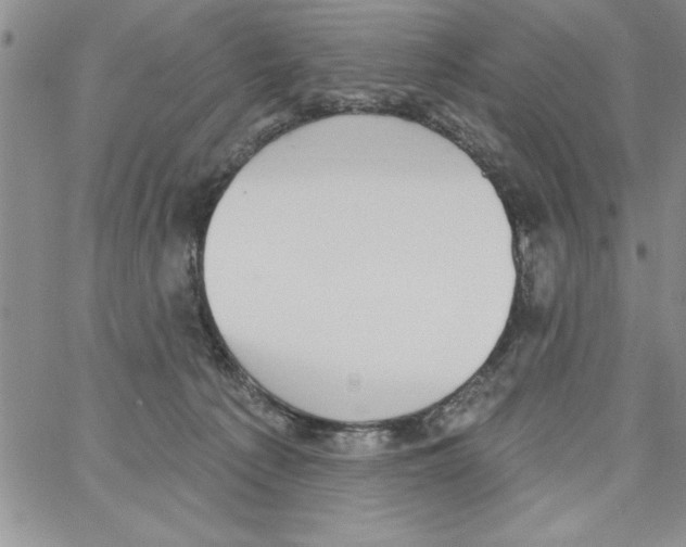 X0000066970225200604211914