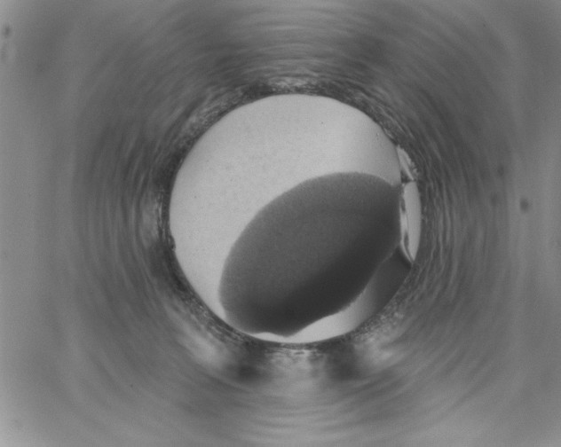 X0000066970227200604211914