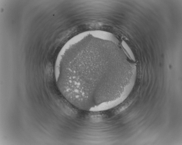 X0000066970228200604211914