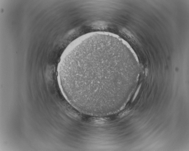 X0000066970229200604211914