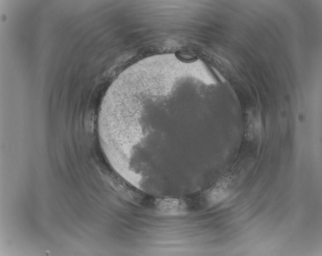 X0000066970230200604211914