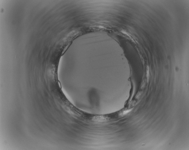 X0000066970231200604211914