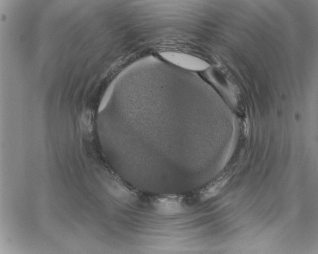 X0000066970232200604211914