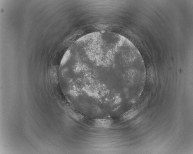 X0000066970234200604211914