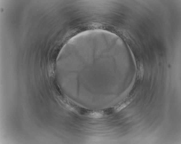 X0000066970236200604211914