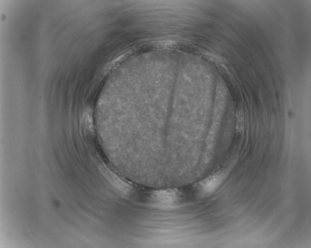 X0000066970238200604211914