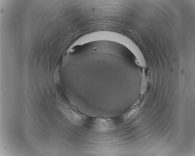 X0000066970239200604211914