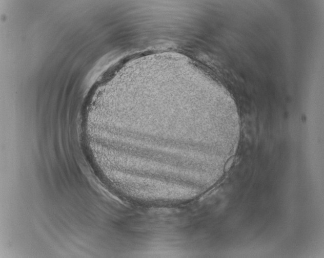 X0000066970242200604211913