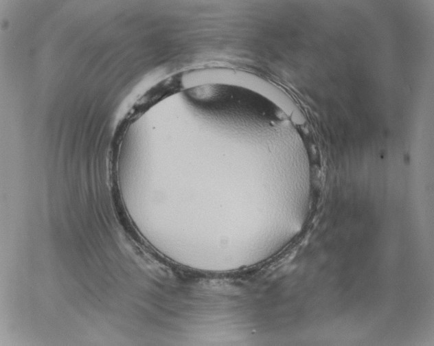 X0000066970244200604211913